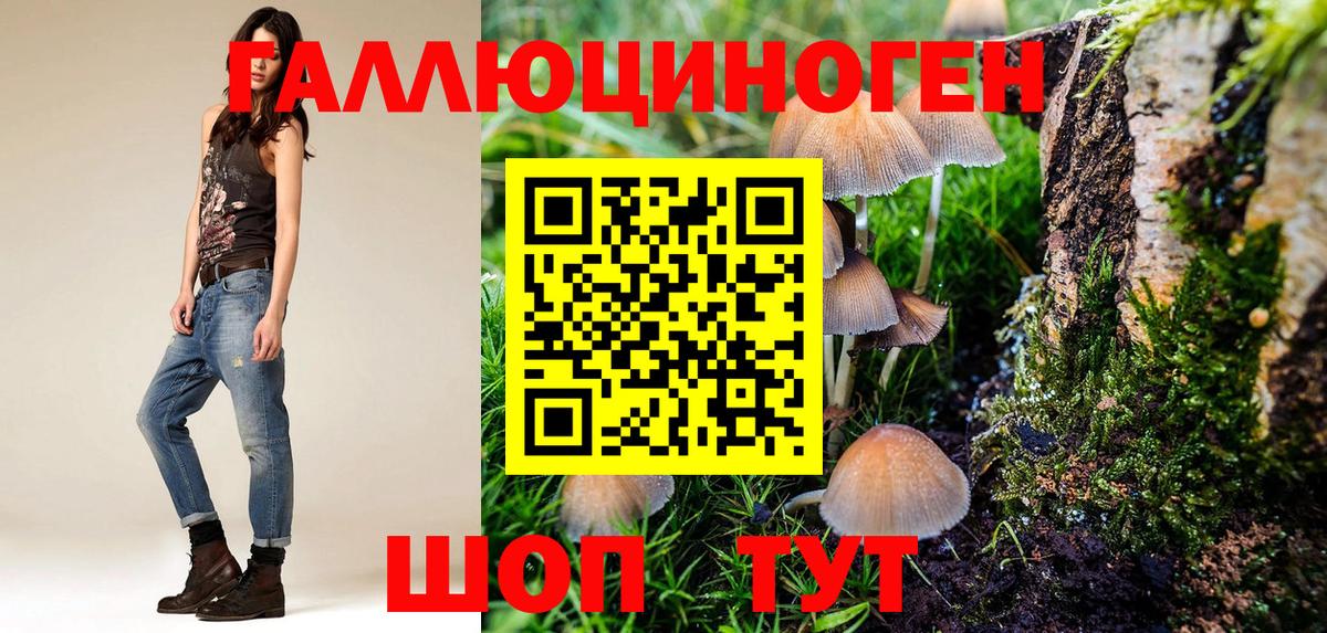 продажа наркотиков  Псилоцибиновые грибы GOLDEN TEACHER  Вход с VPN  Псилоцибиновые грибы Magic Shrooms  Домодедово 